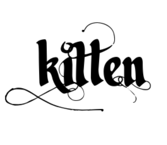 Kitten